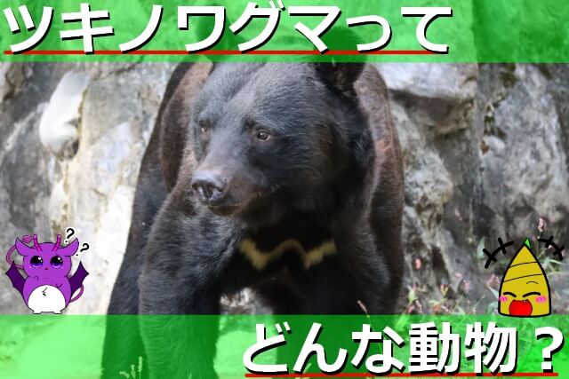 Thumbnail of post image 032